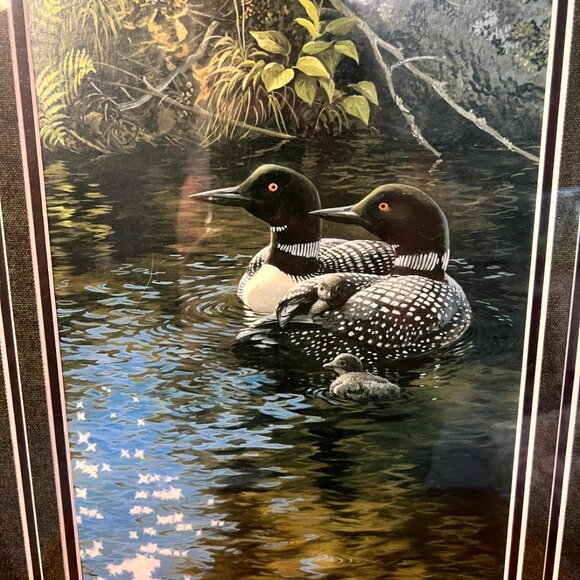 Wild Wings Dancing Water Loons by Persis Clayton Weirs - Hand Signed - Picture 2 of 5